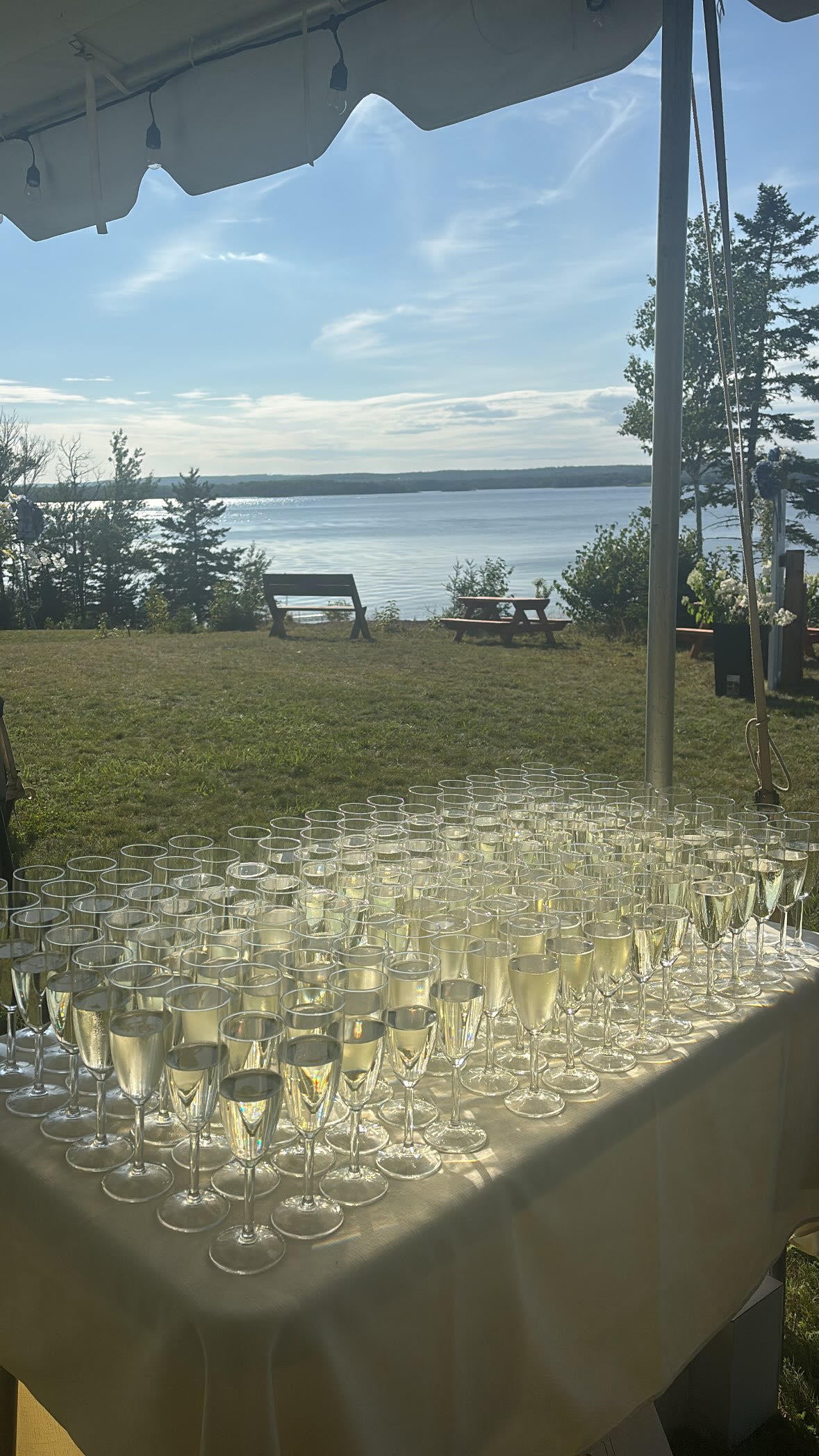 Champagne Station
